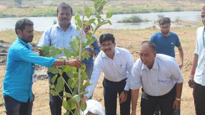 பெருவெள்ளத்தையும் தாங்கும் வகையில் தாமிரபரணி நதிக்கரையில் நடப்பட்ட நாட்டு மரங்கள்; தன்னார்வலர்கள் முன்னெடுப்பு