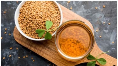 ദഹന പ്രശ്നങ്ങൾ അകറ്റും, പ്രതിരോധശേഷി കൂട്ടും ; അറിയാം ഉലുവ വെള്ളം കുടിച്ചാലുള്ള മറ്റ് ഗുണങ്ങൾ