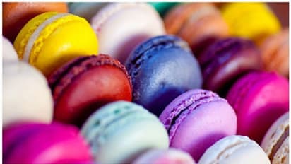 ವಾಸ್ತು ಶಾಸ್ತ್ರದಲ್ಲಿ ನೀಲಿ ಬಣ್ಣವು ಏನನ್ನು ಸಂಕೇತಿಸುತ್ತದೆ? ಈ ಬಣ್ಣವನ್ನು ಇಷ್ಟಪಡುವವರು ಈ 5 ವಿಶೇಷ ವಿಷಯಗಳನ್ನು ತಿಳಿದಿರಬೇಕು