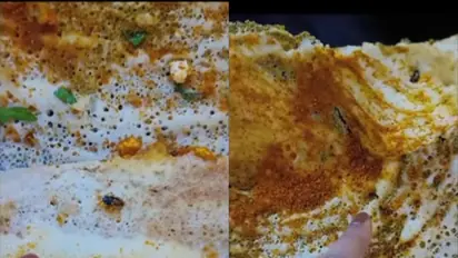 SHOCKING! Woman finds 8 cockroaches in dosa served at a Delhi Restaurant 
