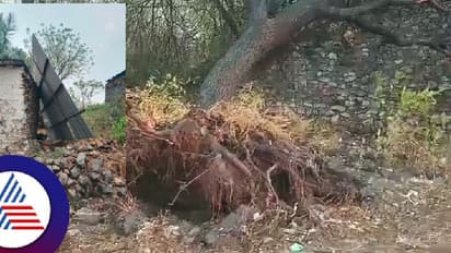 ಬೀದರ್‌: ಏಕಾಏಕಿ ಭಾರೀ ಗಾಳಿ, ಸಿಡಿಲು ಗುಡುಗು ಸಹಿತ ಮಳೆ; ಆತಂಕಗೊಂಡ ಜನರು!