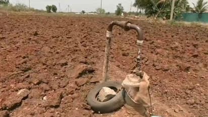 ಚಿತ್ರದುರ್ಗ: ಬರಗಾಲಕ್ಕೆ ತತ್ತರಿಸಿದ ಅನ್ನದಾತ, ಬೋರ್ವೆಲ್ ಬತ್ತಿದ ಪರಿಣಾಮ ಕೈಕೊಟ್ಟ ಬೆಳೆ..!