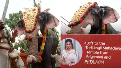 തലപ്പൊക്കത്തോടെ തൃക്കയിൽ മഹാദേവൻ, ഒറിജിനലിനെ വെല്ലും യന്ത്ര ആനയെ നടയിരുത്തി പെറ്റ, സഹായമേകി പ്രിയാമണി