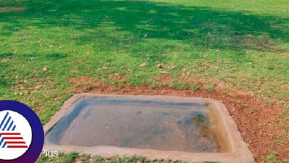 ಬಿಸಿಲಿನಿಂದ ಪಾರಾಗಲು ಹಂಪಿಯಲ್ಲಿ ಪಕ್ಷಿಗಳಿಗೆ ನೀರಿನ ವ್ಯವಸ್ಥೆ 