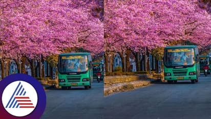 ಬೆಂಗಳೂರು ಮತ್ತು ಗುಲ್ಮೊಹರ್ ಮರಗಳು. . ಇದ್ಯಾವ ರೋಡ್ ಅಂತ ಗೆಸ್ ಮಾಡ್ತೀರಾ?