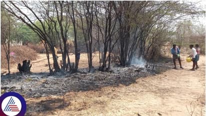 ಚಿತ್ರದುರ್ಗದಲ್ಲಿ ಬಹಿರ್ದೆಸೆಗೆಂದು ತೆರಳಿದ್ದ ತಾಯಿ, ಇಬ್ಬರು ಮಕ್ಕಳು ಸೇರಿ ಮೂವರು ಸಜೀವ ದಹನ