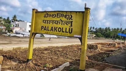 పాలకొల్లు అసెంబ్లీ ఎన్నికల ఫలితాలు 2024