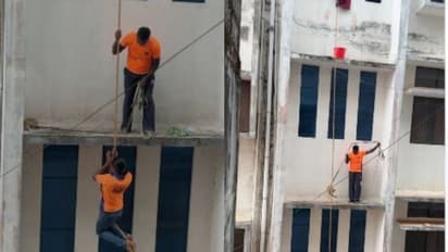 കുടുങ്ങിയത് കോളേജിന്റെ 3ാം നിലയിലെ സൺഷേഡിൽ, പോരാത്തതിന് ഗര്‍ഭിണിയും;  'എന്റെ മുക്കം' തുണയിൽ പൂച്ചയ്ക്ക് രക്ഷ