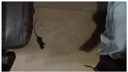 എസി കോച്ചില്‍  'എലി' എന്ന് യുവതി; 'ഇപ്പോ ശരിയാക്കാ'മെന്ന് റെയിൽവേസേവ, പരിഹസിച്ച് സോഷ്യൽ മീഡിയയും 