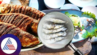 ಜನರ ನಾಲಿಗೆಗೆ ಇಷ್ಟವಾಗ್ತಿದೆ ಮೀನು.. ಹೆಚ್ಚಾಗಿದೆ ಸೇವಿಸೋರ ಸಂಖ್ಯೆ