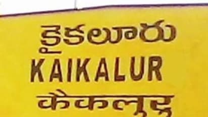 కైకలూరు అసెంబ్లీ ఎన్నికల ఫలితాలు 2024