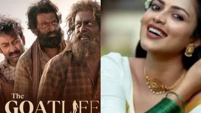 'ആടുജീവിതത്തില് നായകൻ പൃഥ്വിരാജിനെ എങ്ങനെയുണ്ട്?', ചിത്രത്തിലെ നായിക അമലാ പോളിന്റെ പ്രതികരണം