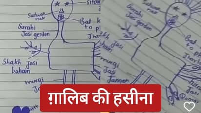 या खुदा .. ग़ालिब जिंदा होते तो इस तस्वीर को देखकर दोबारा मर जाते हैं