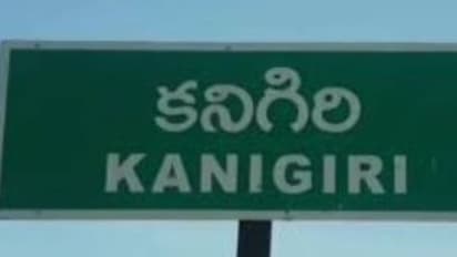 కనిగిరి అసెంబ్లీ ఎన్నికల ఫలితాలు 2024