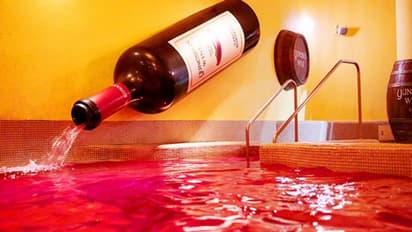 வினோதமான தீம் பார்க்.. மக்கள் Tea.. Coffee.. Wineல் குளிக்கலாமாம் - இது எந்த நாட்டில் இருக்கு தெரியுமா?