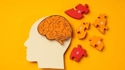 അൽഷിമേഴ്സ് രോഗ സാധ്യത കുറയ്ക്കാൻ ഡയറ്റില് ഉള്പ്പെടുത്താം ഈ ഭക്ഷണങ്ങള്...