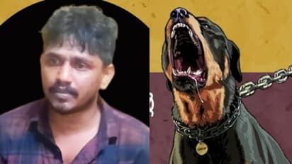 കാവലിന് വിദേശയിനം നായ, ആയുധങ്ങൾ, ബാബുരാജിന്‍റെ ലക്ഷ്യം വേറെ; സിനിമാ സ്റ്റൈലിൽ വീടു വളഞ്ഞു, കിട്ടിയത് ലഹരി!