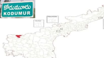కోడుమూరు అసెంబ్లీ ఎన్నికల ఫలితాలు 2024