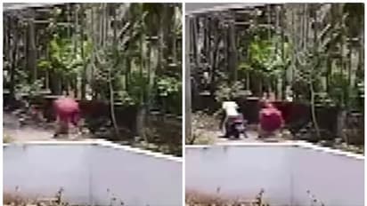 ജാ​ഗ്രതൈ! 'അവർ' വീണ്ടും എത്തി! അന്വേഷണം ഊർജിതമാക്കി പൊലീസ്, ബൈക്കിലെത്തി മാല പൊട്ടിക്കല്‍ കാസര്‍കോട്ട് സജീവം