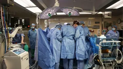 Groundbreaking milestone: US surgeons transplant world's 1st genetically edited pig kidney into patient