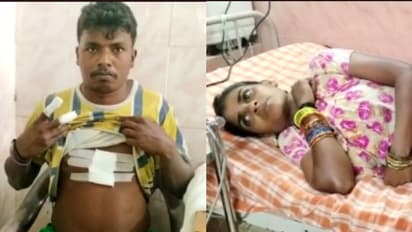 പൈപ്പിൽ നിന്ന് കുടിവെള്ളം എടുക്കുന്നതിനെ ചൊല്ലി തർക്കം, ചീത്തവിളി; ഗർഭിണിയേയും ഭർത്താവിനെയും വെട്ടി അയൽവാസി