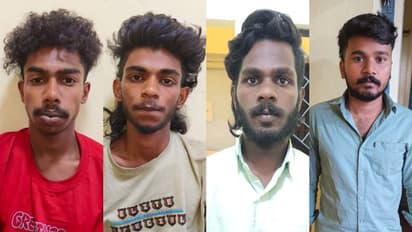 വീട്ടിൽക്കയറി 400 കിലോ കുരുമുളക് കടത്തി, നാൽവർ സംഘത്തെ പൊക്കി പൊലീസ്, വഴികാട്ടിയത് ഫോണ് കോളുകളും സിസിടിവിയും