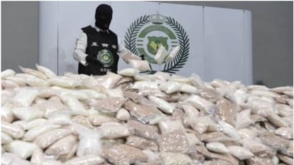 'വാര്‍ ഓണ്‍ ഡ്രഗ്സ്'; 22000 കിലോ ഹാഷിഷും 174 കിലോ കൊക്കെയ്നും ലഹരി ഗുളികകളും, സൗദിയിൽ വന്‍ ലഹരിമരുന്ന് വേട്ട