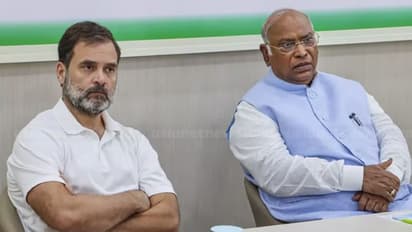 Haryana poll fallout: Congress in-charge Deepak Babaria offers to quit over poor election results