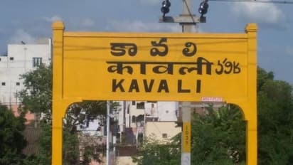 కావలి అసెంబ్లీ ఎన్నికల ఫలితాలు 2024