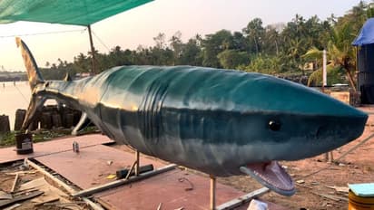 ഇരുപതടിയുടെ കൂറ്റൻ സ്രാവ്, പെപ്പെയുടെ ചിത്രം കസറും, വൻ ബജറ്റില്‍ റിവഞ്ച് ഡ്രാമ, ആക്ഷനും പൊടിപാറും