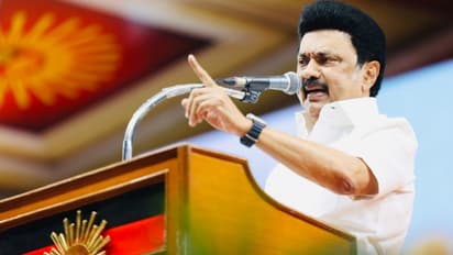 அதிமுக எடுத்த ஜெராக்ஸ்... பாஜகவின் அழுகுனி ஆட்டம்... திருவாரூரில் முதல்வர் மு.க.ஸ்டாலின் கடும் விமர்சனம்!