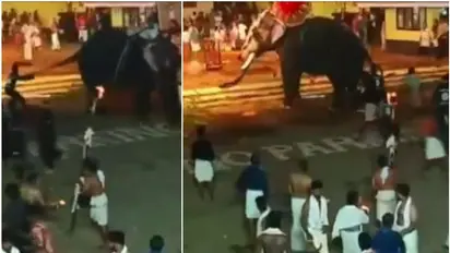 തൃശ്ശൂർ ആറാട്ടുപുഴ പൂരത്തിനിടെ ആനയിടഞ്ഞു,രണ്ടാമത്തെ ആനയെ കുത്തി; ജനം ചിതറിയോടി, നിരവധി പേർക്ക് പരിക്ക്