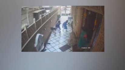 തോക്ക് ചൂണ്ടി, കത്തി കഴുത്തിൽ വച്ച് ഭീഷണി; കുലുങ്ങാതെ അമ്മയും മകളും, മോഷണ സംഘത്തെ ധൈര്യത്തോടെ നേരിട്ടു, വീഡിയോ