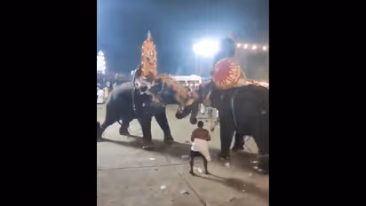 Viral Video: Kerala temple procession disrupted by 2 violent elephants (WATCH)