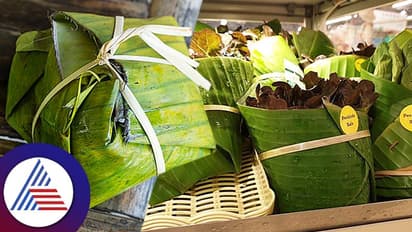 ಪ್ಲ್ಯಾಸ್ಟಿಕ್ ಬದಲಿಗೆ ಬಾಳೆಎಲೆ ಪ್ಯಾಕೇಜಿಂಗ್ ಬಳಸುತ್ತಿರೋ ವಿಯೆಟ್ನಾಂ, ಥಾಯ್ಲೆಂಡ್; ಈ ಕ್ರಮಕ್ಕೆ ನೆಟ್ಟಿಗರ ಶ್ಲಾಘನೆ