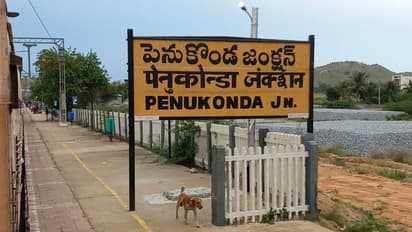 పెనుకొండ అసెంబ్లీ ఎన్నికల ఫలితాలు 2024