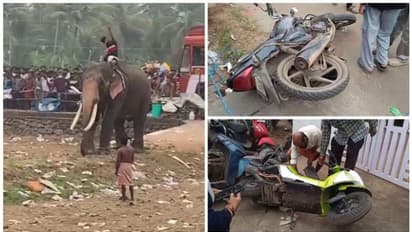 ആറാട്ടുപുഴ പൂരത്തിനിടെ വീണ്ടും ആനയിടഞ്ഞു; മൂന്ന് ബൈക്കുകൾ തകർത്തു, ആളുകൾ ചിതറിയോടി