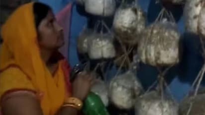 സ്ഥലമില്ല, ബെഡ്റൂമിൽ കൂൺ വളർത്തി, യുവതി നേടുന്നത് ദിവസം 2000 രൂപ