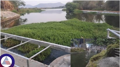 ಕಾವೇರಿ ಪೈಪ್ಲೈನ್ ದುರಸ್ತಿಗೊಳಿಸಿ, ಬೆಂಗಳೂರಿಗೆ 1,000 ಎಂಎಲ್ಡಿ ನೀರು ಸರಬರಾಜ ವ್ಯತ್ಯಯ ತಪ್ಪಿಸಿದ ಜಲಮಂಡಳಿ