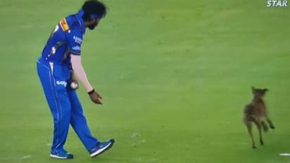 കൂവല് പോട്ടേ, പട്ടിക്കുഞ്ഞിന് പോലും ഹാര്ദിക്കിനെ പുല്ലുവില! മുംബൈ ക്യാപ്റ്റന് ആരാധകരുടെ പരിഹാസം - വീഡിയോ