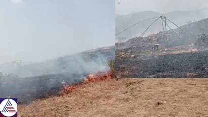 Karnataka: Fire ravages hills near Dattapeeth in Chikkamagaluru following alleged tent cooking