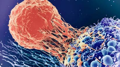 ഈ പോഷകങ്ങളുടെ കുറവ് ക്യാന്സര് സാധ്യത കൂട്ടും...