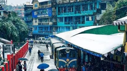 BJP conflict in Darjeeling exposed Karshiang MLA threatens to contest against Raju Bishlar bsm