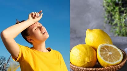 കൊടും ചൂടുള്ള ഈ വേനലില് കഴിക്കേണ്ട വിറ്റാമിന് സി അടങ്ങിയ പഴങ്ങള്...