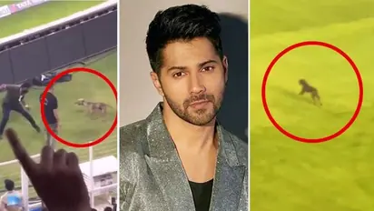 Varun Dhawan gets ANGRY after dog kicked by IPL 2024 authorities during MI vs GT match-WATCH 