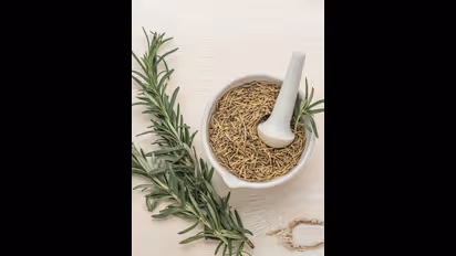 தலைமுடிக்கு மட்டுமல்ல தூங்கும் முன் 'ரோஸ்மேரி' தண்ணீர் குடித்தால் இத்தனை நன்மைகள் இருக்கு!!