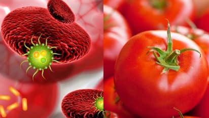 ക്യാന്സര് സാധ്യത കുറയ്ക്കാന് കഴിക്കേണ്ട ഏഴ് ഭക്ഷണങ്ങള്...