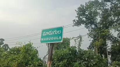 మాడుగుల అసెంబ్లీ ఎన్నికల ఫలితాలు 2024