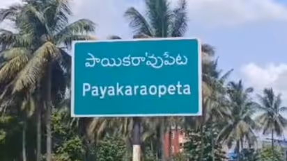 పాయకరావుపేట అసెంబ్లీ ఎన్నికల ఫలితాలు 2024 live