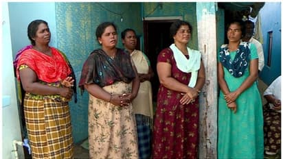 സന്തോഷവാർത്ത! പ്രിൻസും ഡേവിഡും റഷ്യൻ യുദ്ധഭൂമിയിൽ നിന്ന് ഉടൻ തിരികെയെത്തും